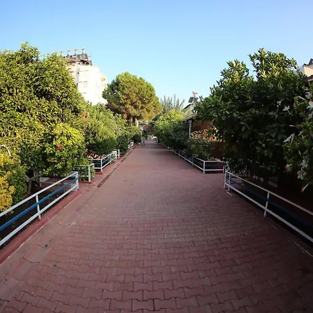 Baba موتيل فينيقيه